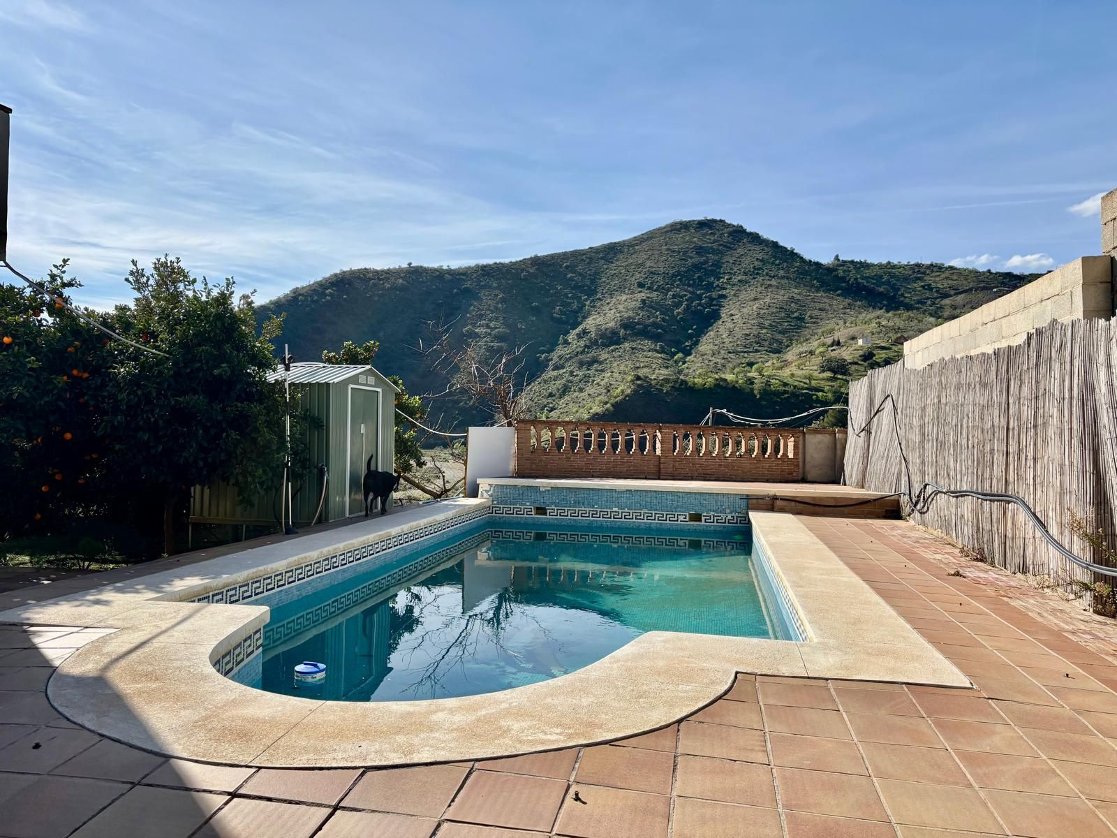Swimming pool of Country house for sale in Casabermeja