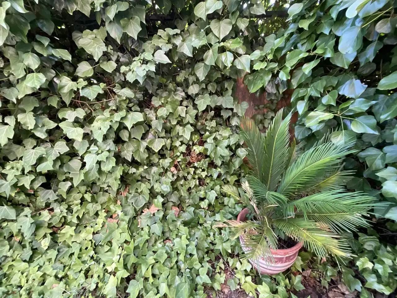 Jardí de Pis en venda en Cirueña amb Calefacció, Terrassa i Traster