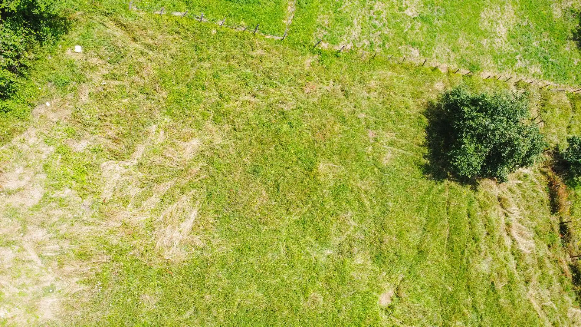 Terreno residenziale in vendita a Carretera de Las Cuestas a Sama de Grado, imagen 13
