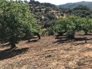 Terreni e lotti in vendita a Cortegana, imagen 2
