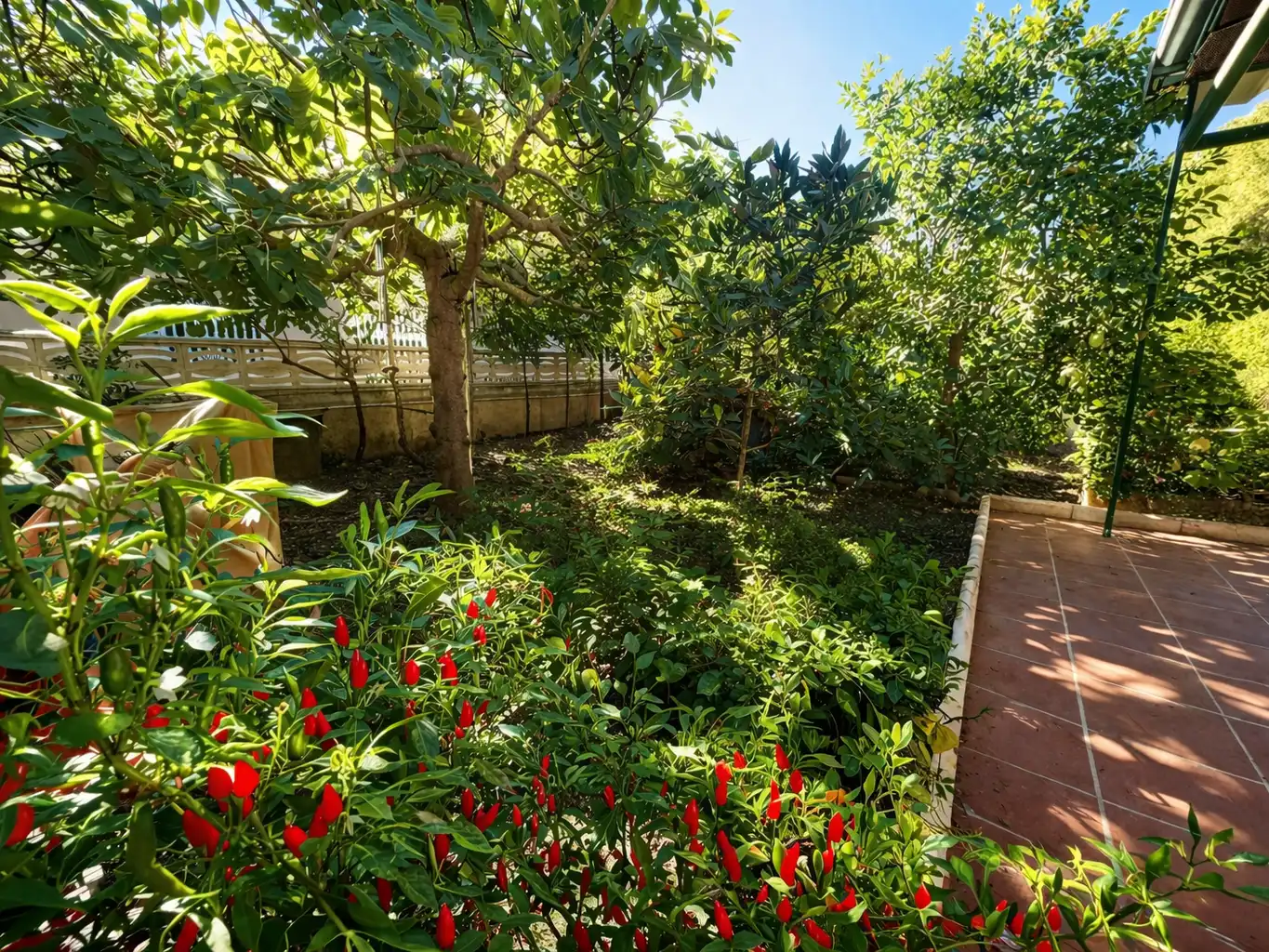 Jardín de Casa o chalet en venta en El Vendrell