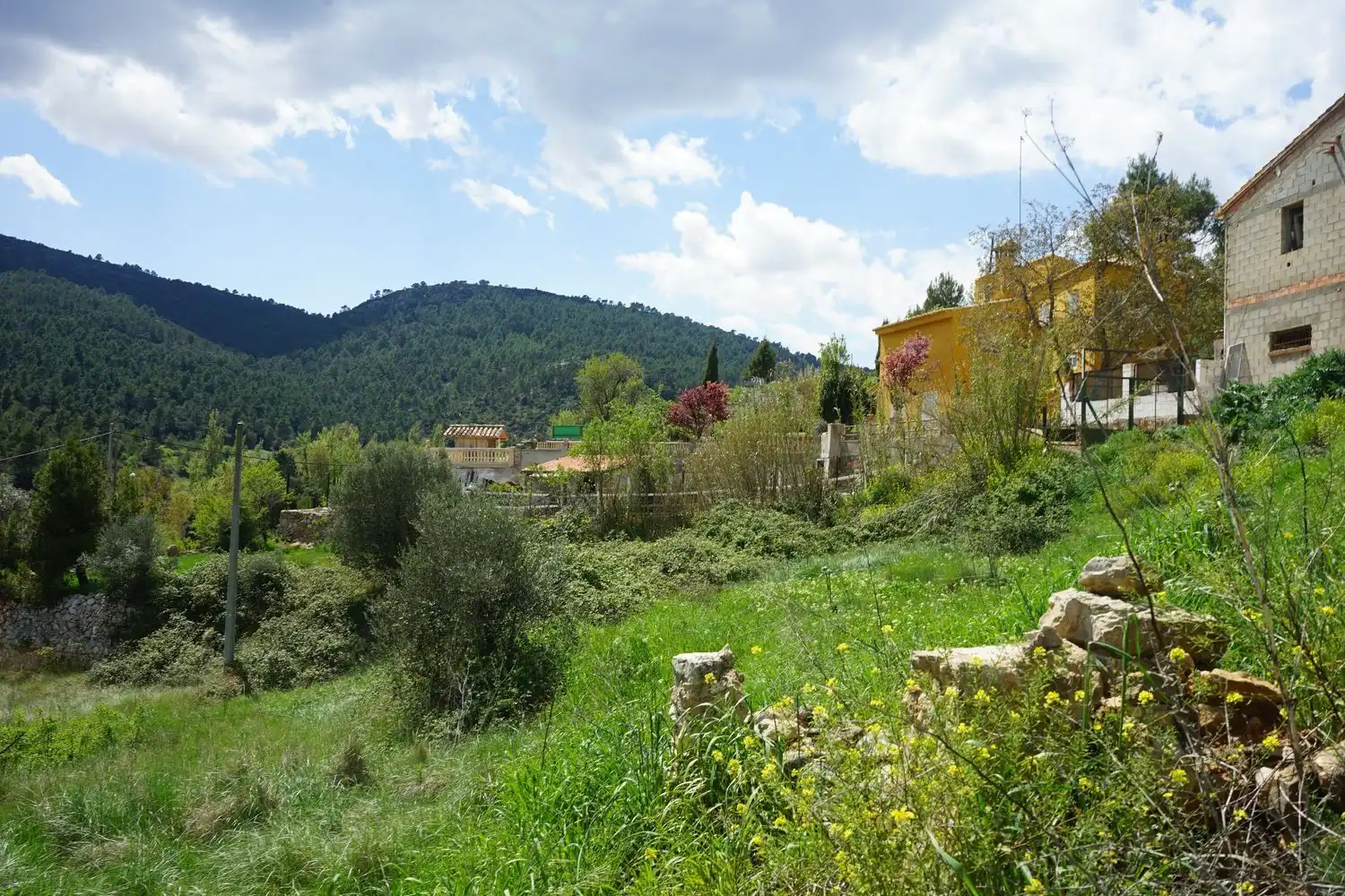 Rural land for sale in SUBIDA VILLAR DE OLMOS 0