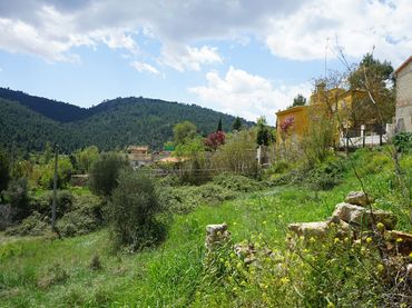 Terrain rustique à vendre à SUBIDA VILLAR DE OLMOS 0