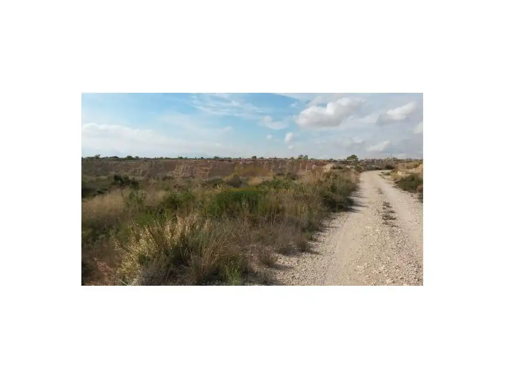 Wohnbaugrundstück zum Verkauf in Partida Lomas Gp. 2 321, imagen 6