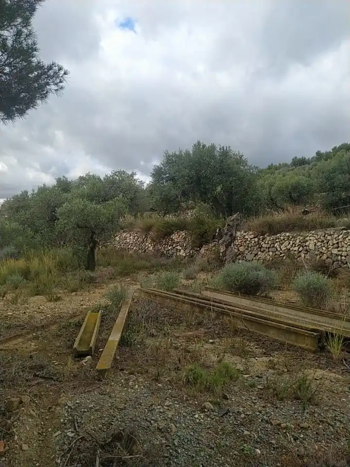 Terreno rustico in vendita a Riudecanyes