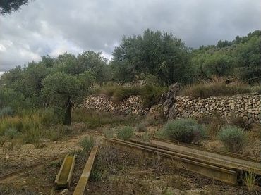Rural land for sale in Riudecanyes