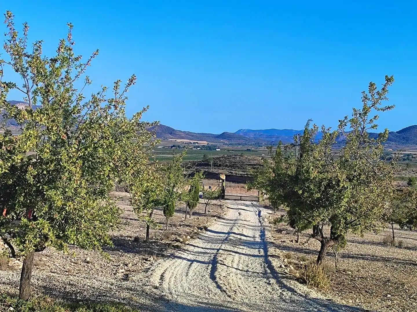 Villa à vendre à Monóvar  / Monòver, imagen 8