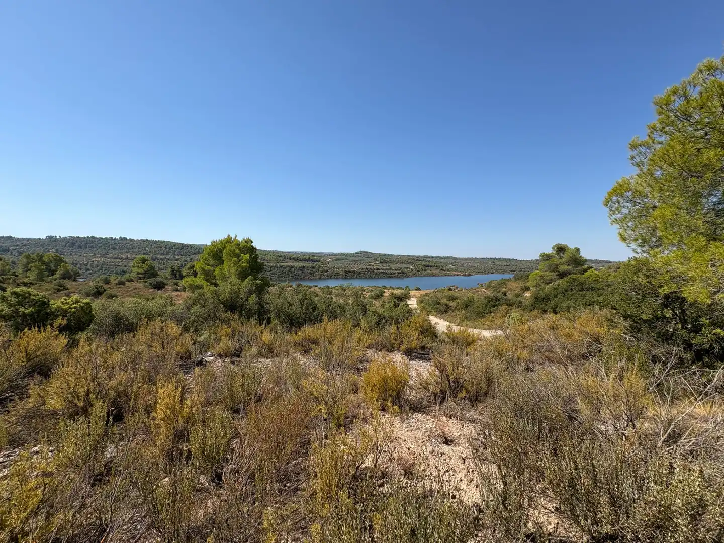 Terreno rustico in vendita a Cervià de Les Garrigues, imagen 20