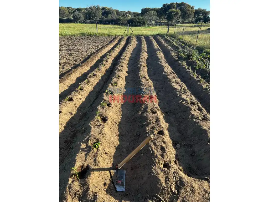 Finca rústica en venta en Valdehúncar