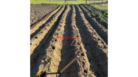 Foto 4 de Finca rústica en venta en Calle Roque, Valdehúncar, Cáceres