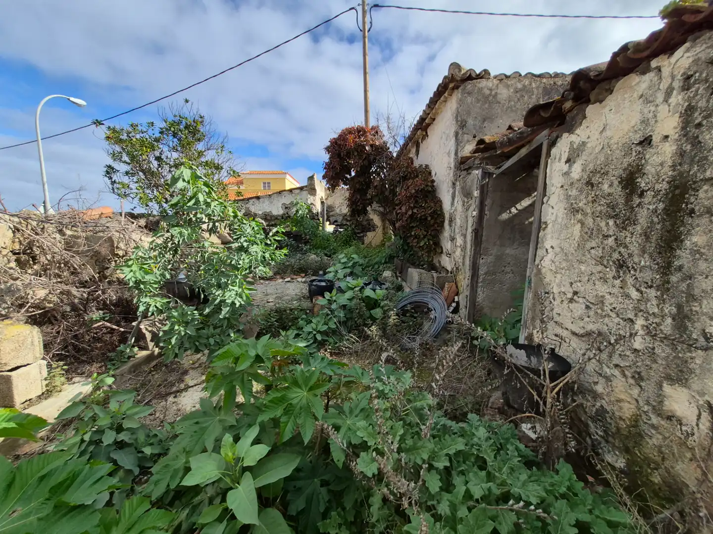 Rural land for sale in Camino la Cueva del Rey, imagen 38