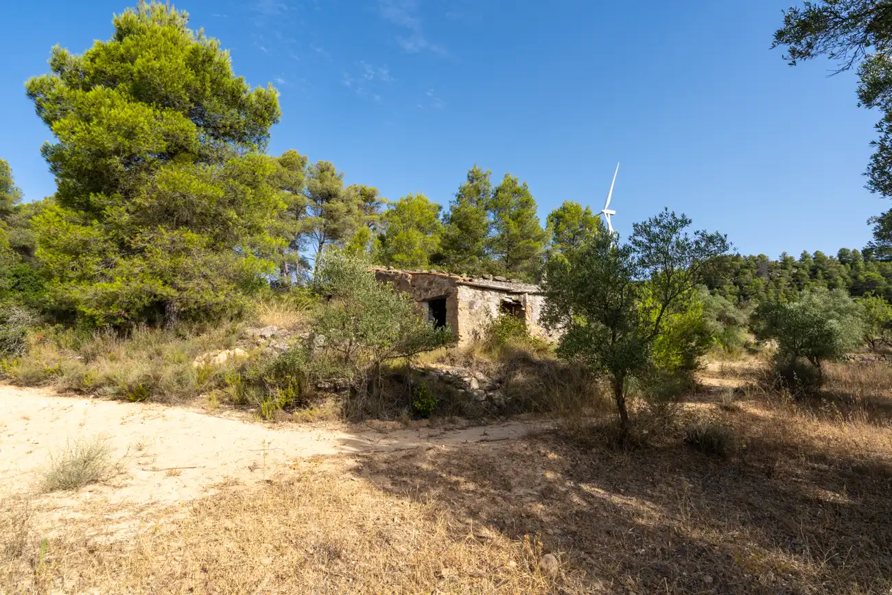 Land for sale in Caseres