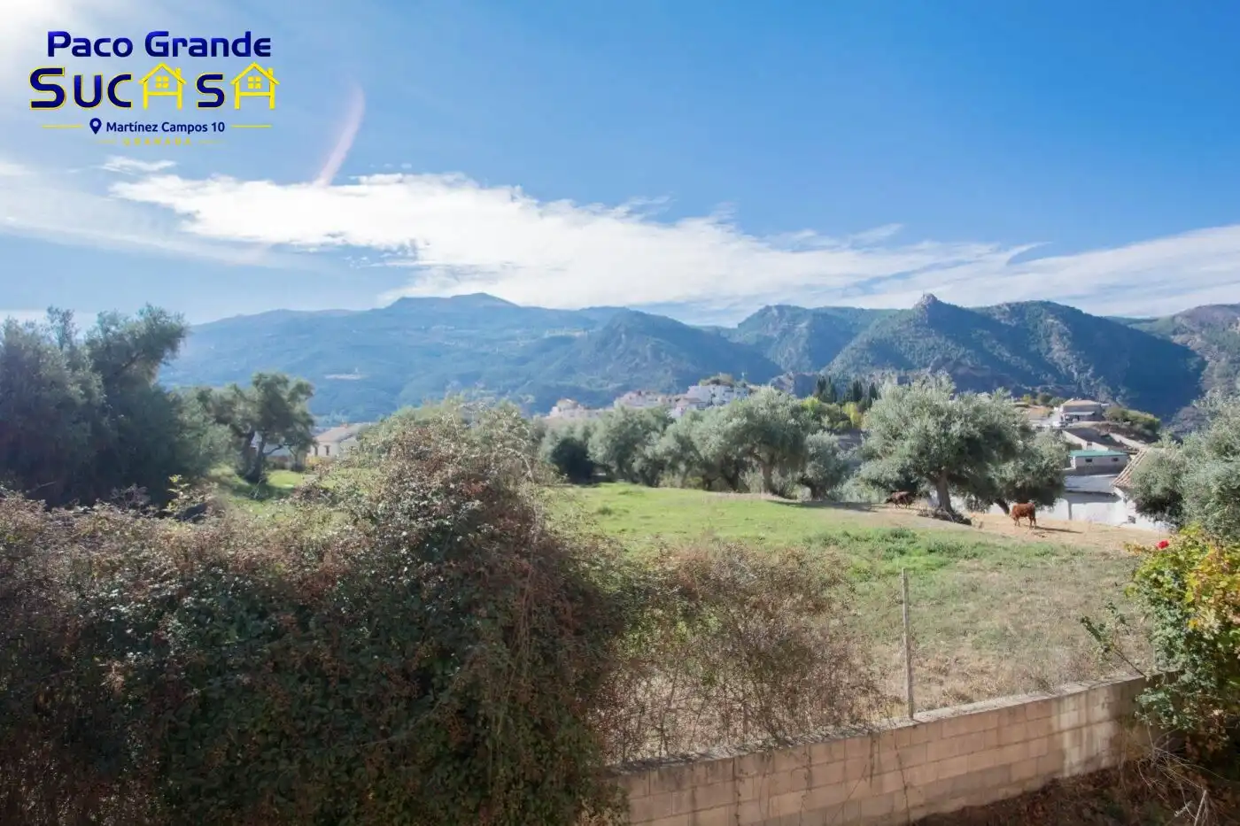 Jardín de Casa o chalet en venta en Güéjar Sierra con Jardín privado, Terraza y Piscina
