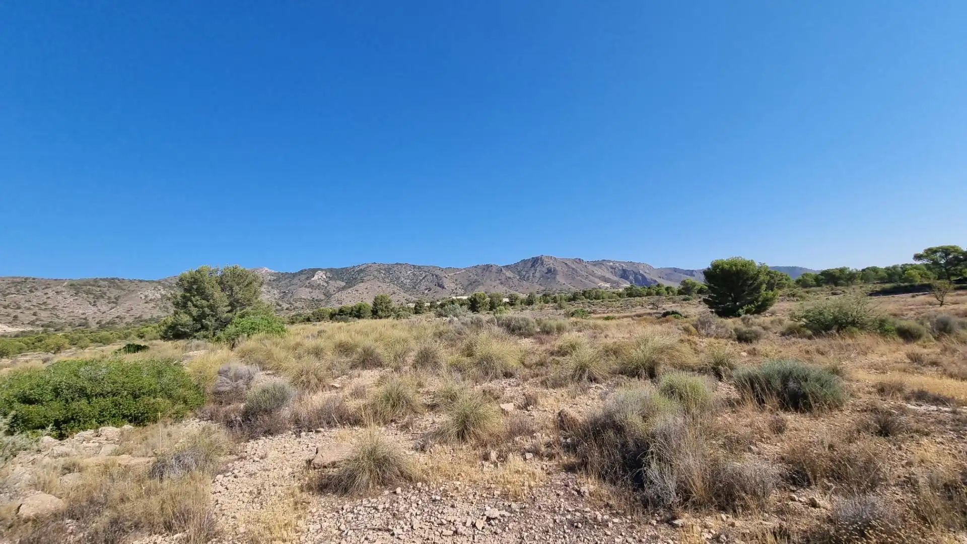 Lands and plots for sale in Abanilla, imagen 13