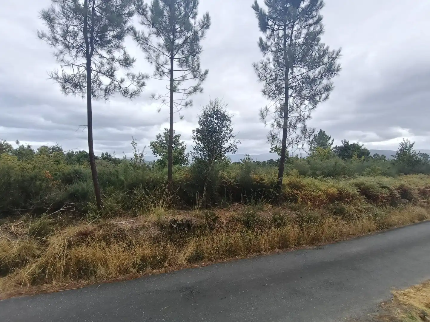 Terreny residencial en venda a Lugar Os Petraños, imagen 8
