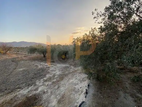 Terrenys i solars en venda a Huércal-Overa, imagen 15