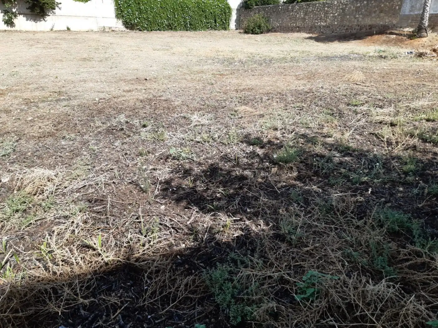 Lands and plots for sale in Norte-Sierra, imagen 5