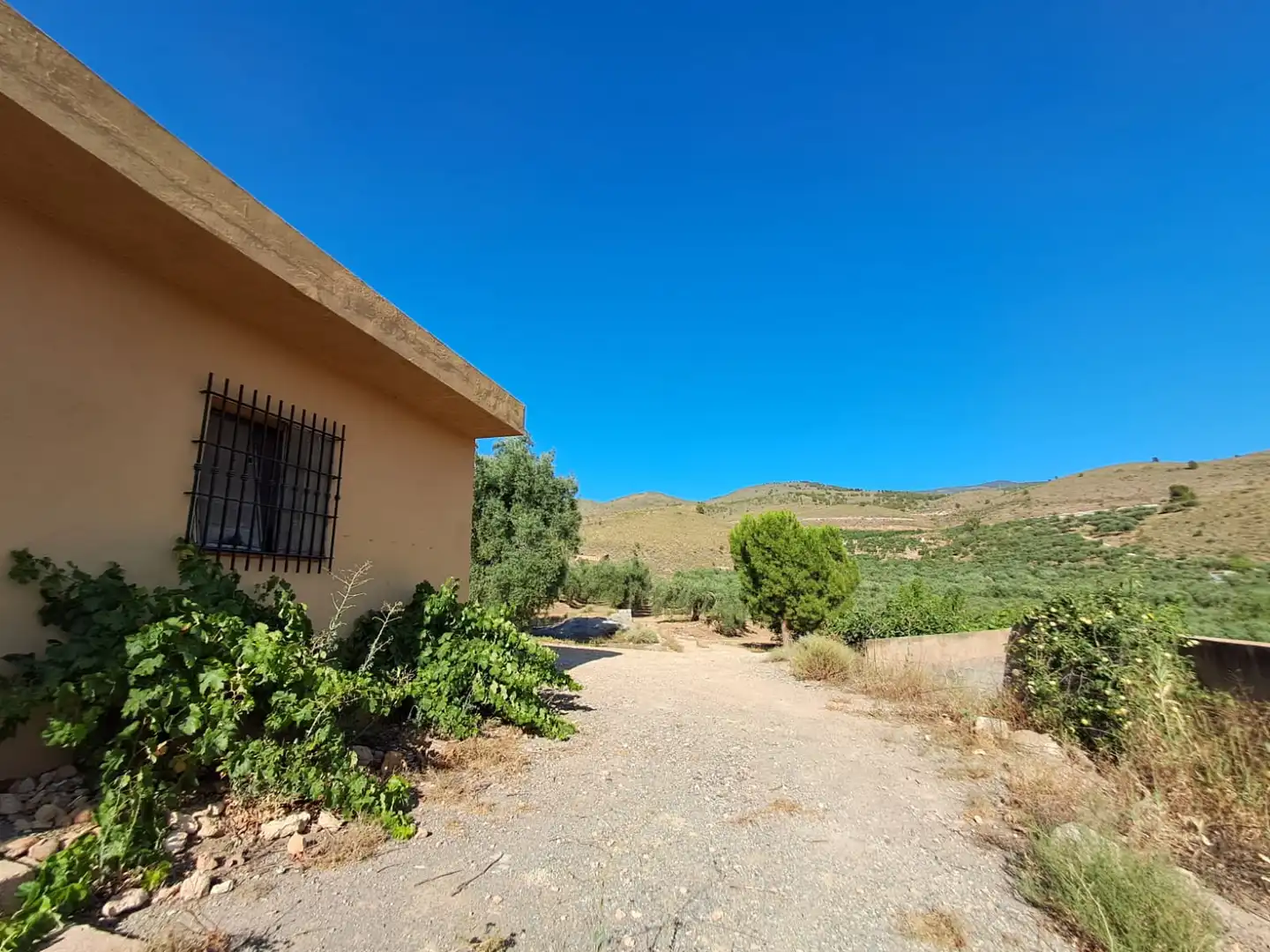 Casa rústica en venda a Alcolea