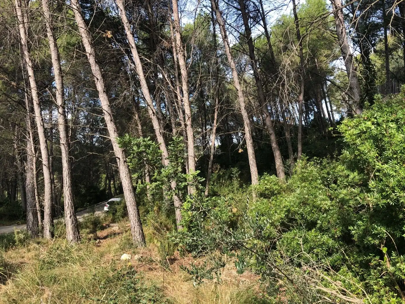 Wohnbaugrundstück zum Verkauf in Carrer del Botxi 26, imagen 5