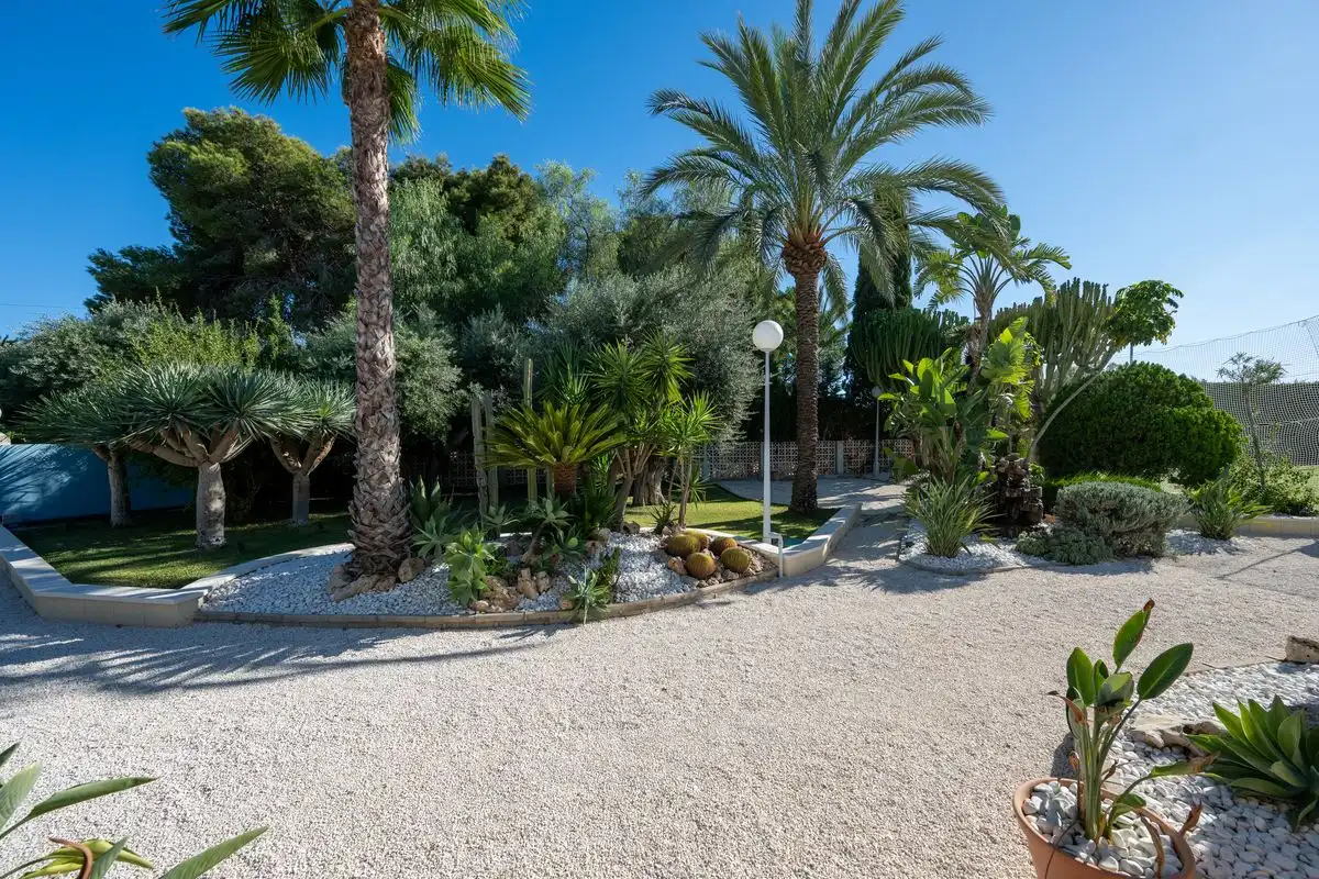 Jardín de Casa o chalet en venta en Elche / Elx con Aire acondicionado, Calefacción y Jardín privado