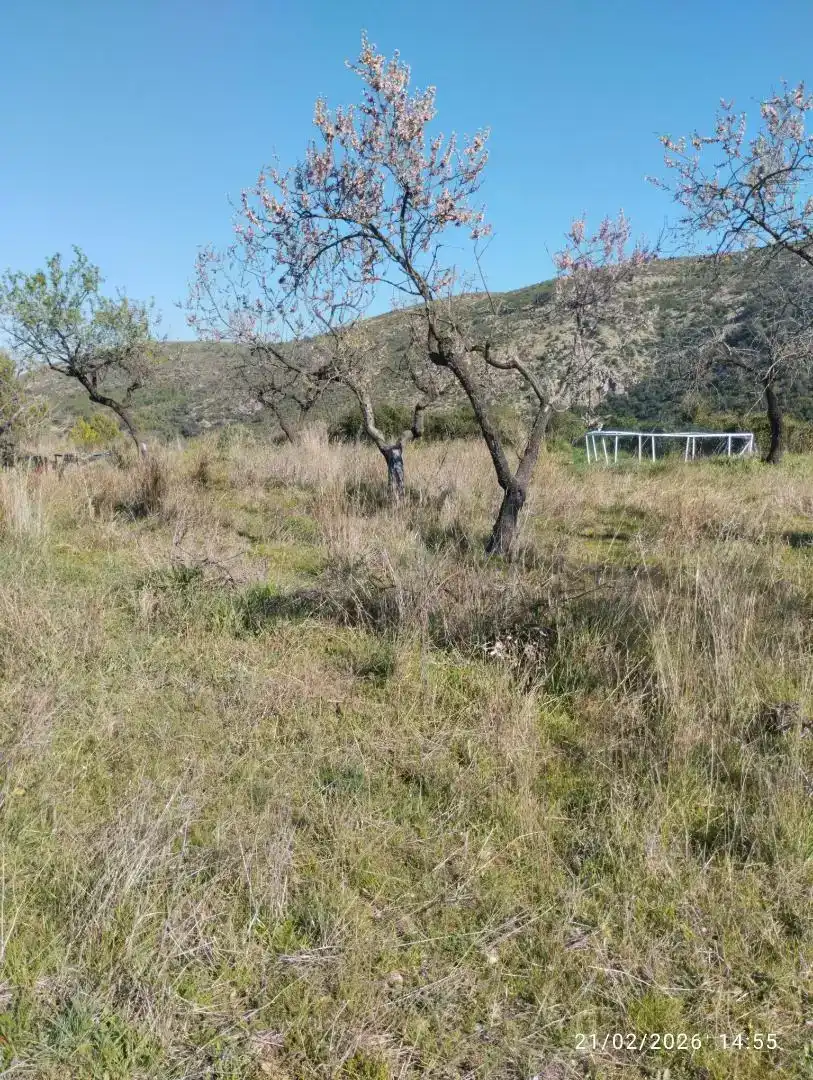 Finca rústica en venda en Llucena / Lucena del Cid