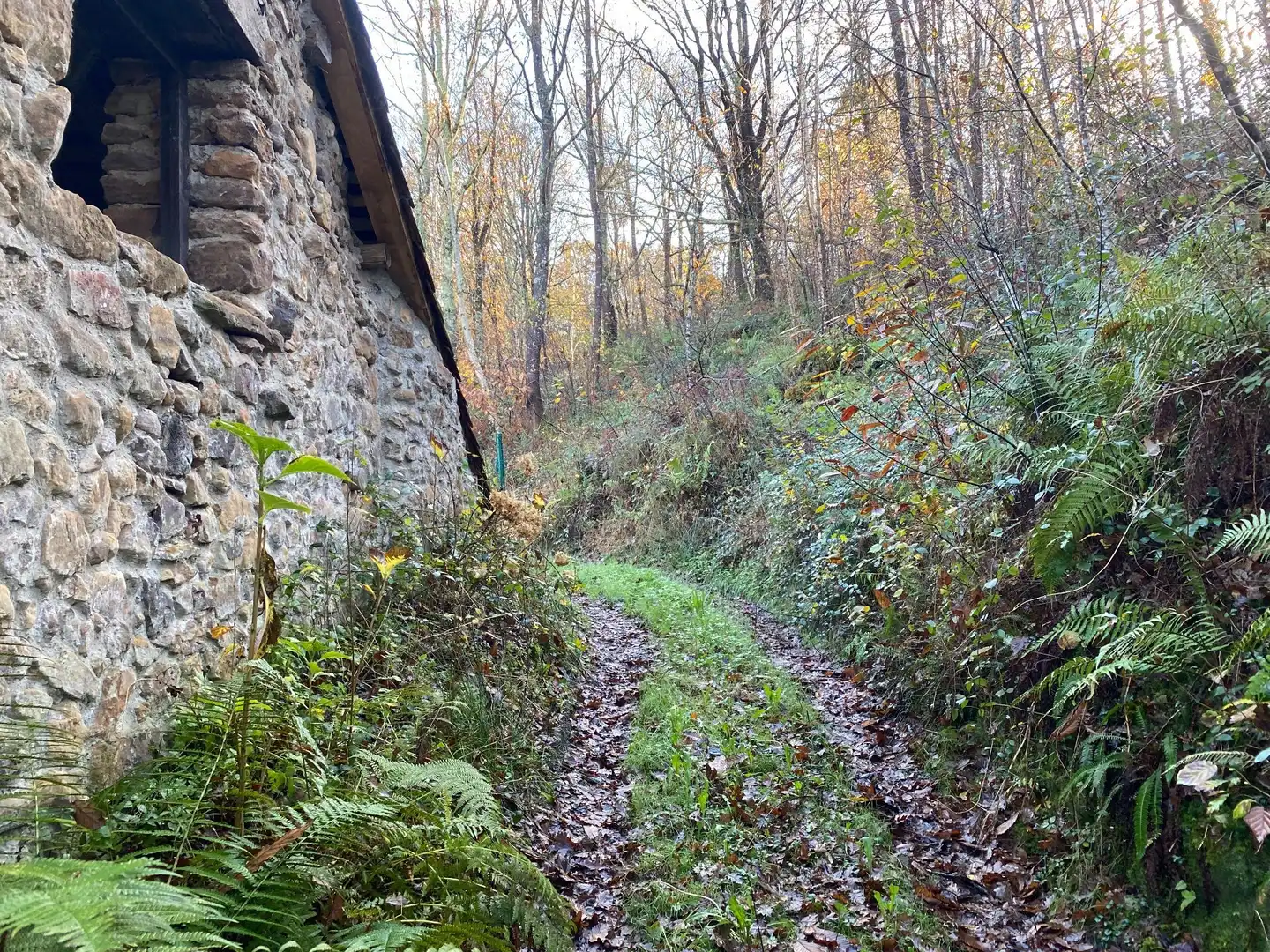 Terreno rustico in vendita a Cangas de Onís, imagen 17