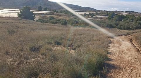 Terreno en Venta en Aledo, immagine 5