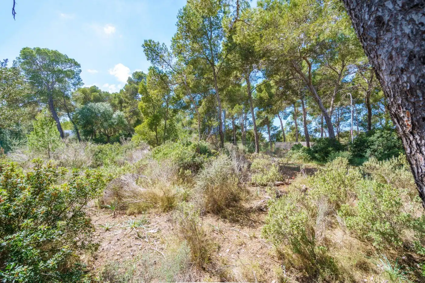 Terreno residencial en venta en Cala Vinyes, imagen 11