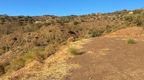 REF AA108 TERRENO EN ALORA, immagine 2