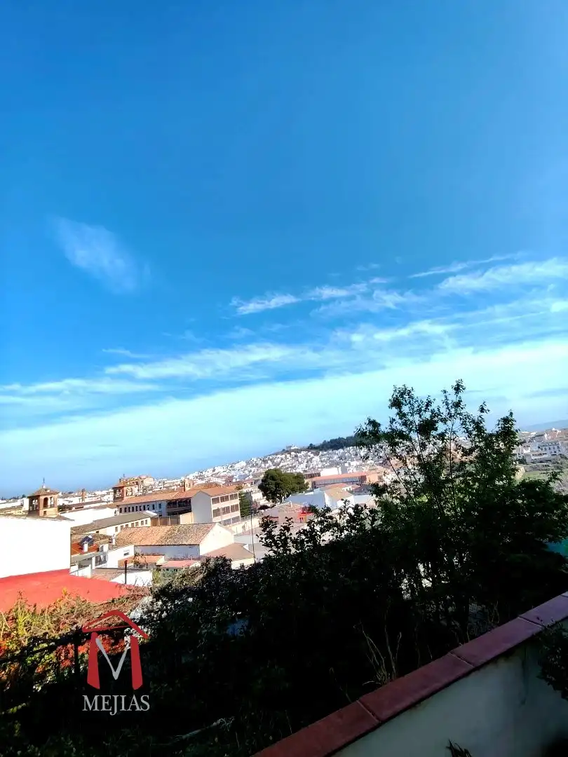 Vista exterior de Casa o chalet en venta en Antequera con Aire acondicionado