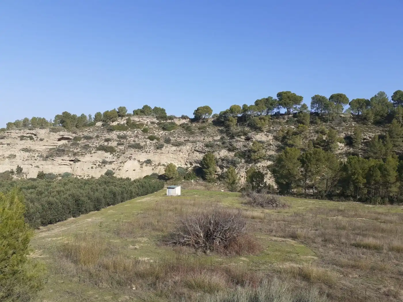 Finca rústica en venda en Ginestar
