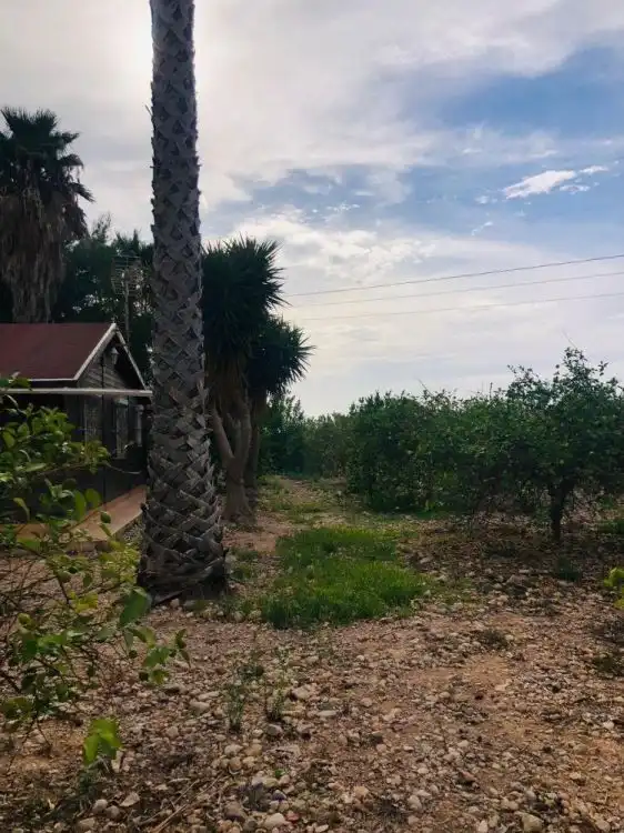 Houses for sale in La Murada - Los Vicentes