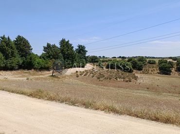 Terreny rústic en venda a Méntrida