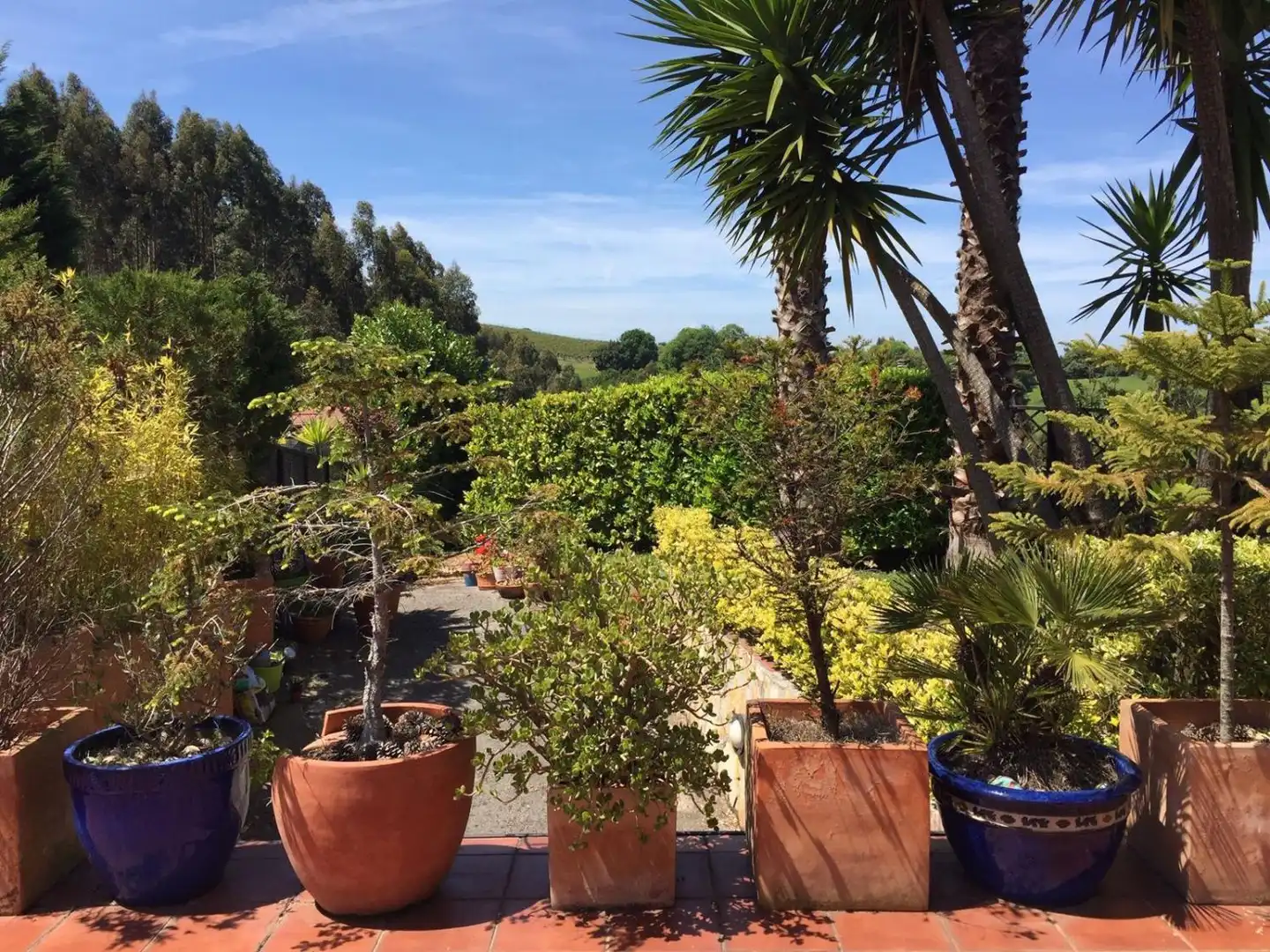 Jardín de Casa o chalet de alquiler en Limpias con Calefacción, Terraza y Amueblado