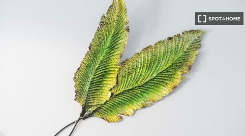 Foto 4 de Apartament per a compartir a La Salud, Santa Cruz de Tenerife