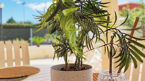 Foto 3 de Casa o xalet en venda a Canet d'En Berenguer, Valencia