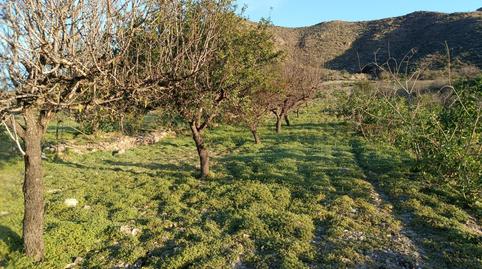 Photo 5 of Land for sale in Pasaje Fuente, la - Ds Puertos, 1, Los Puertos, Murcia