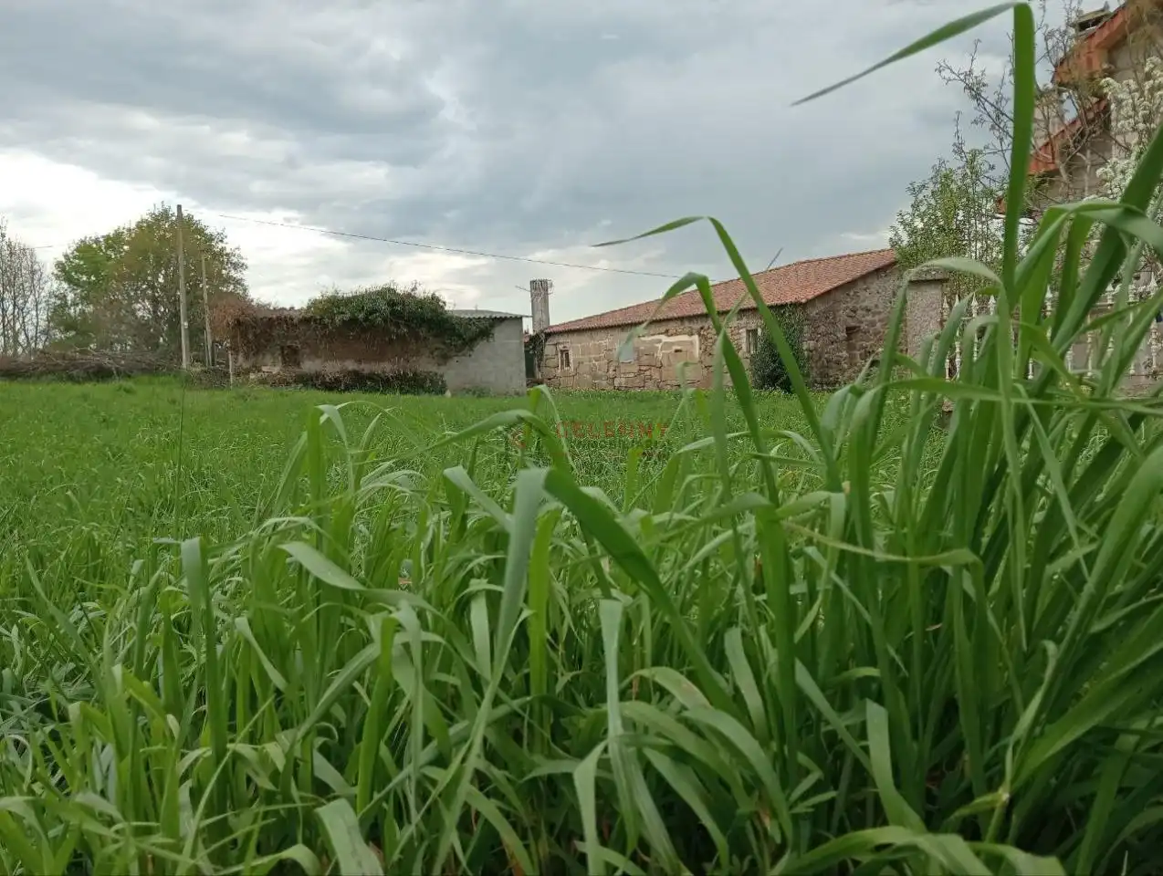 Casa amb jardí en venda a O Pereiro de Aguiar, imagen 36