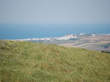 Terrenos y solares en venta en La Muela