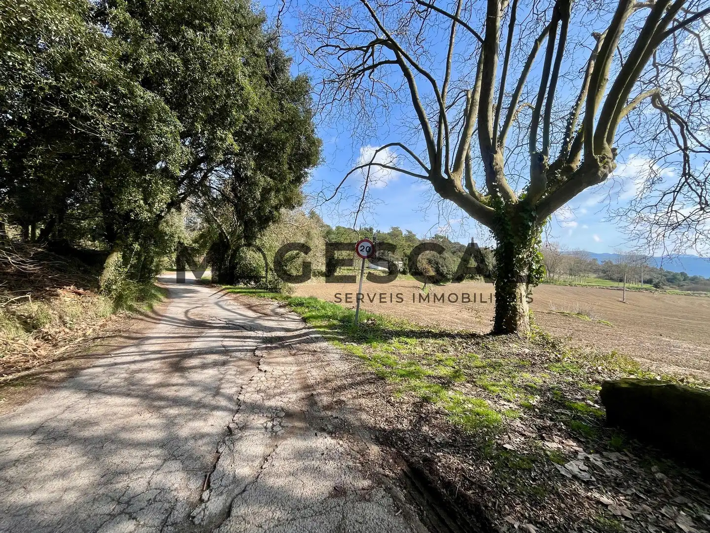 Terrenys i solars en venda a LLUIS BADO, imagen 39