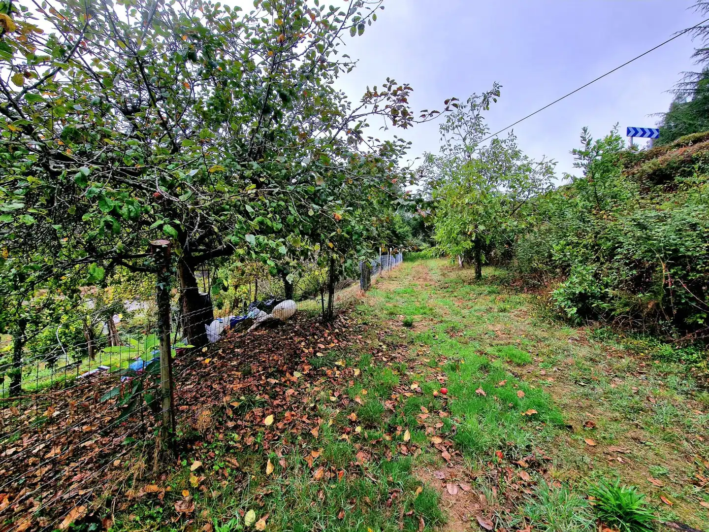 Haus mit Garten zum Verkauf in Ribadeo, imagen 40