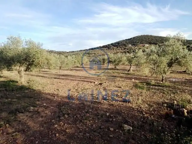 Wohnbaugrundstück zum Verkauf in La Granjuela, imagen 5