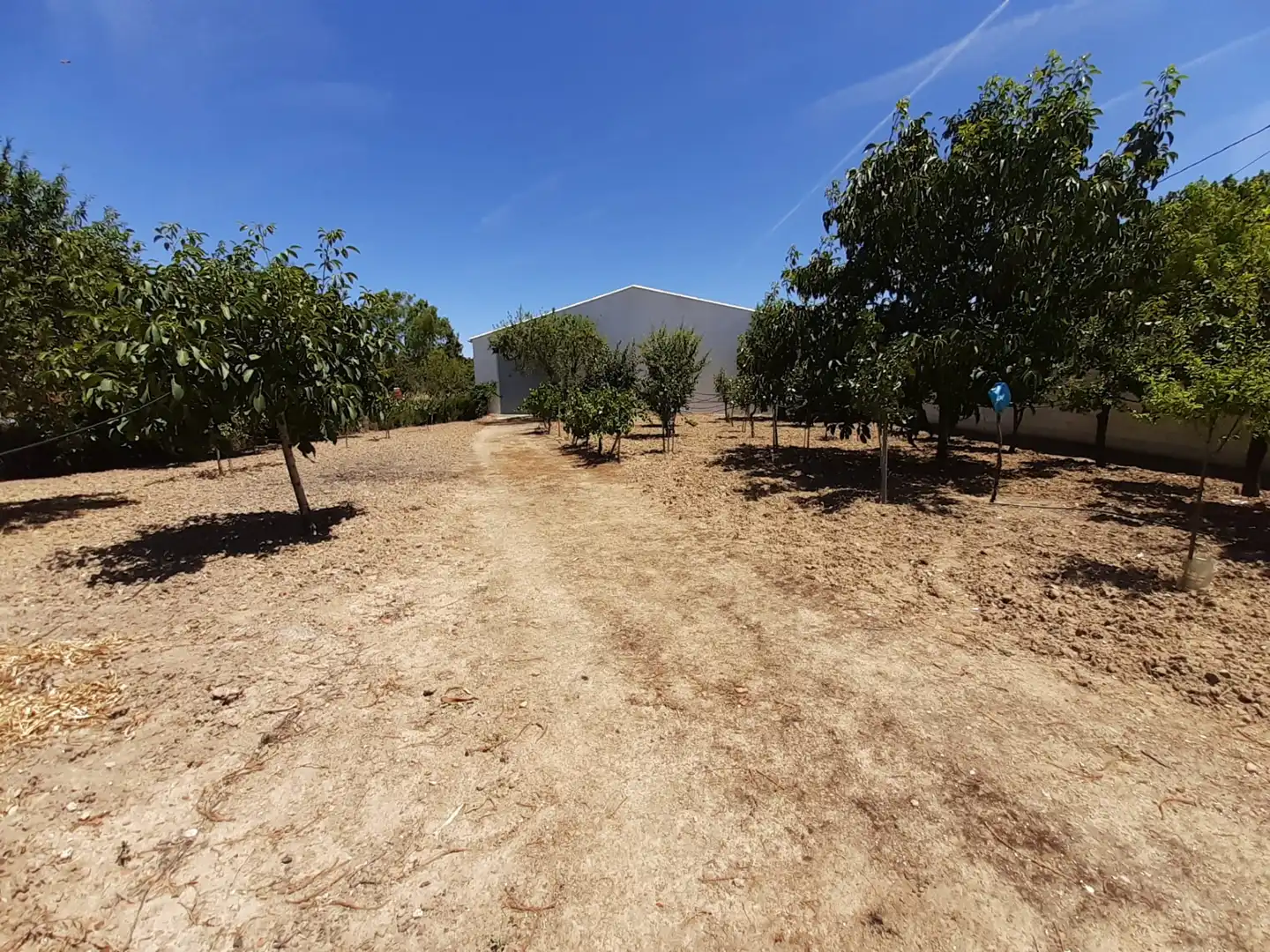Casa o chalet en venta en Casaseca de las Chanas con Calefacción