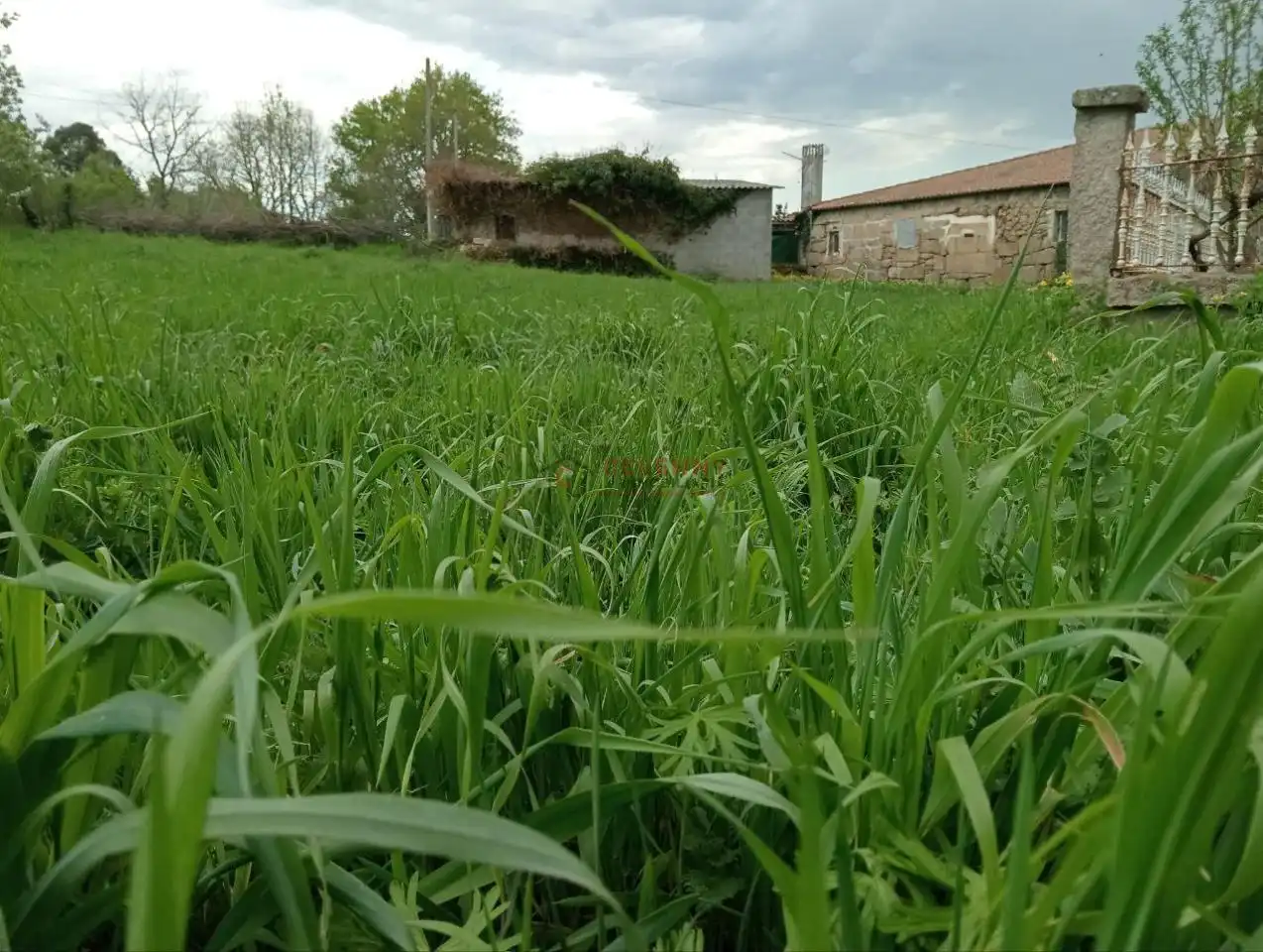 Casa amb jardí en venda a O Pereiro de Aguiar, imagen 34