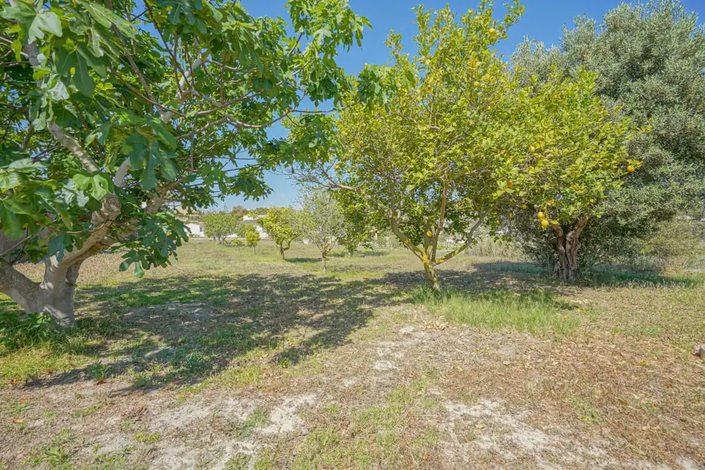 Casa o xalet en venda en Jávea / Xàbia amb Terrassa i Piscina