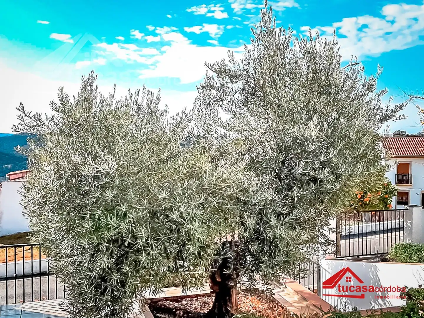 Country homes for sale in Villaharta
