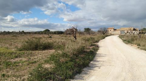 Foto 3 de Finca rústica en venda a Torrellano, Alicante