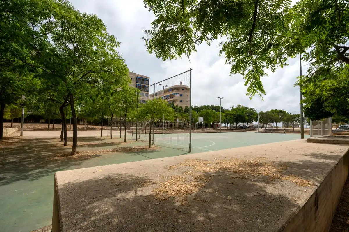 Vista exterior de Pis en venda en Elche / Elx amb Aire condicionat, Calefacció i Terrassa