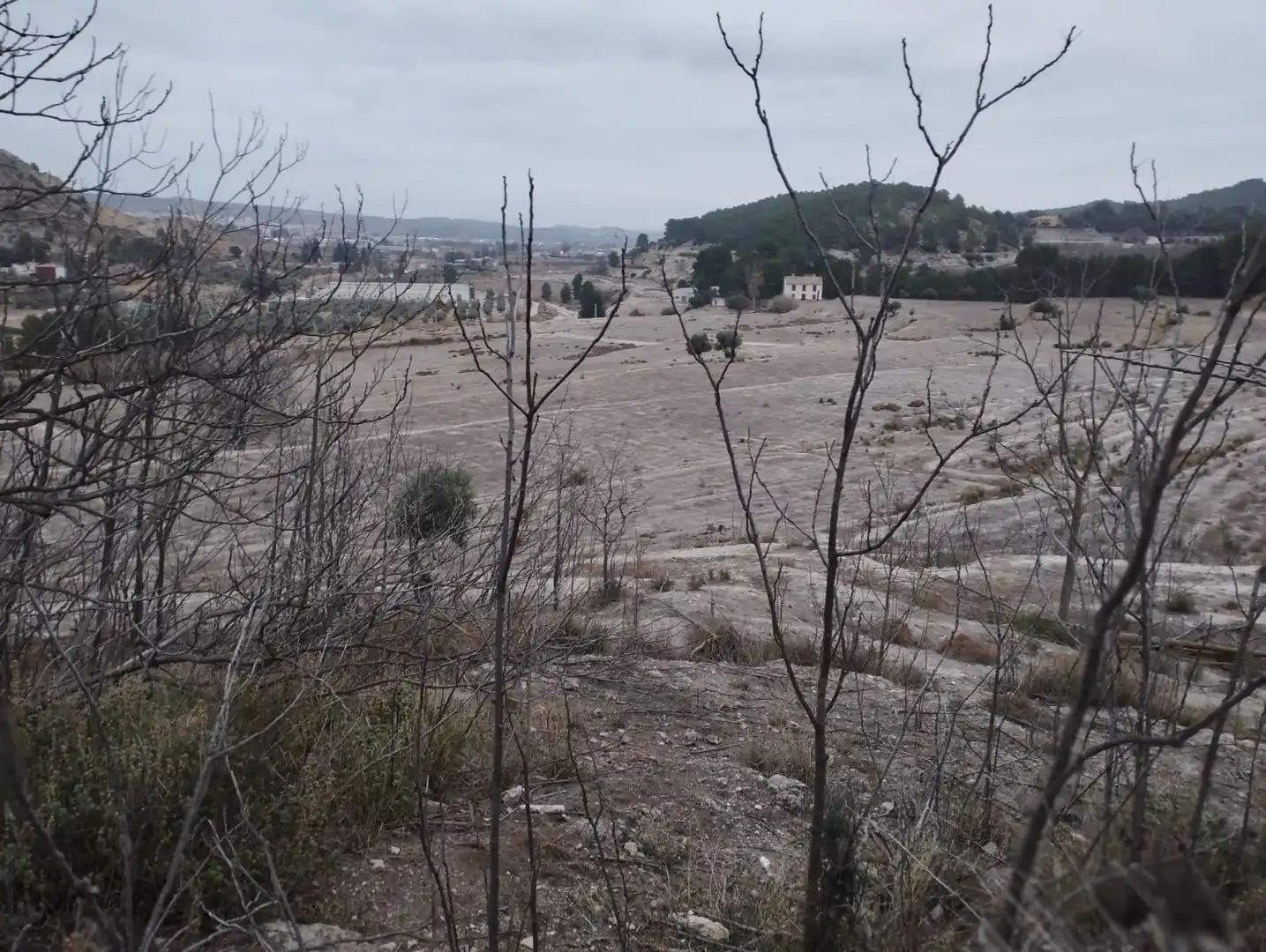 Terreno rustico in vendita a Pt Rincón de Egea - Hoya Redonda -, imagen 7