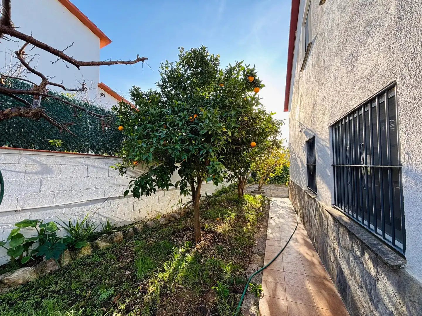 House with pool for sale in Mas Alba, imagen 27